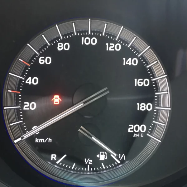стоимость перегона авто из германии в россию